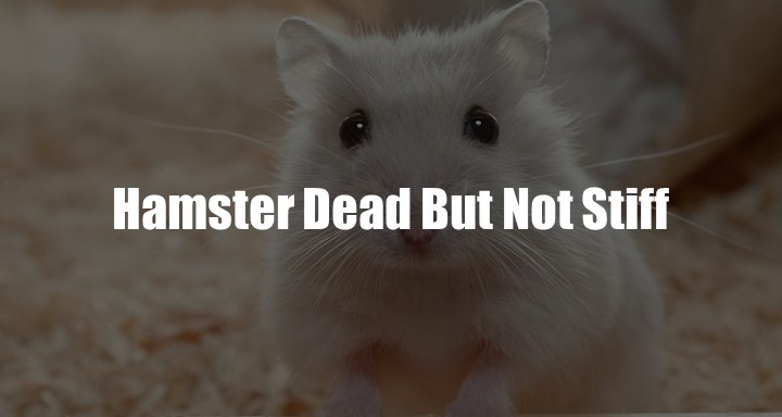 Hamster Dead But Not Stiff