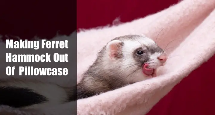How To Make A Ferret Hammock Out Of Pillowcase