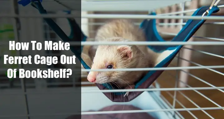 How To Make Ferret Cage Out Of A Bookshelf