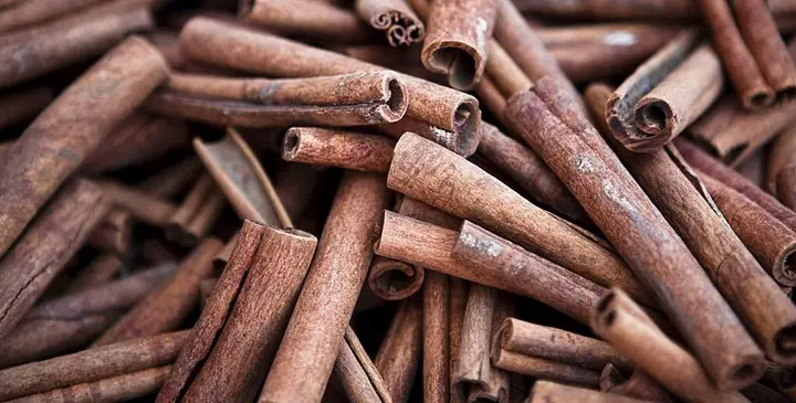 Is Cinnamon Good for Rats
