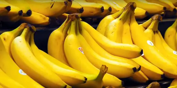 The Negative Aspects Of Bananas For Geese