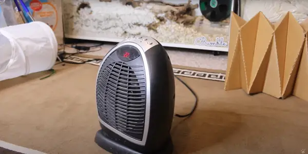 Do Hamsters Need a Heat Lamp