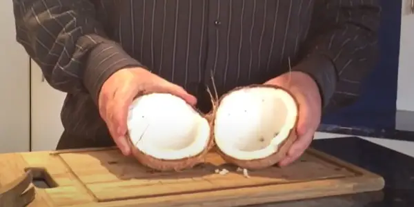 Health Benefits of Eating Coconut for Rats