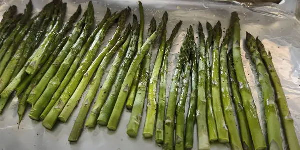 Is Asparagus Safe for Sugar Gliders