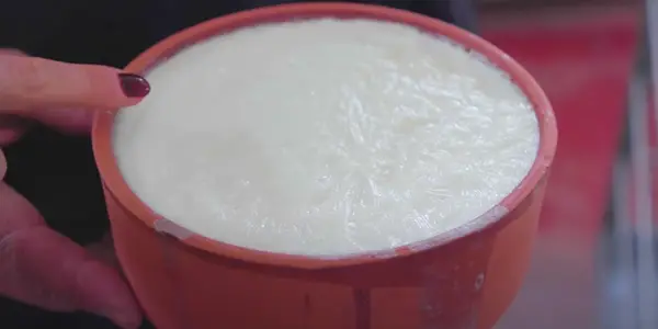 Is Goat-Yogurt the Best for Rats