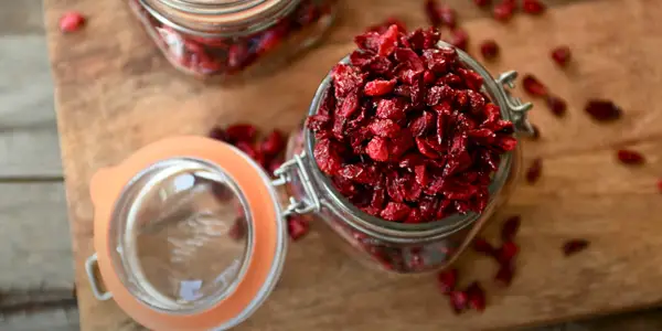 Is it a Good Idea to Feed Dried Cranberries to Your Hamster