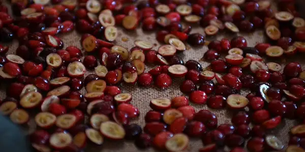 Raw Cranberries for Hamsters- Good or Bad