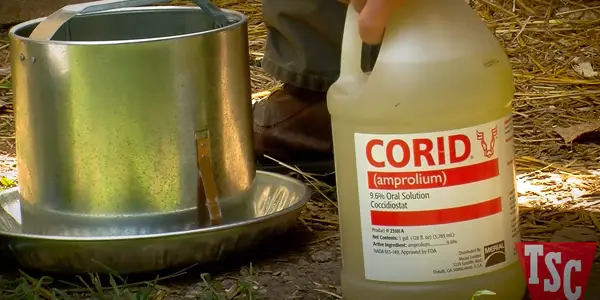 What Does Corid Treat in Chickens
