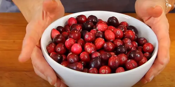 What Type of Cranberries Can Rats Eat